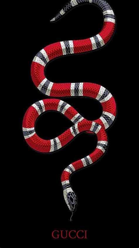 gucci logo snake|Gucci snake logo wallpaper.